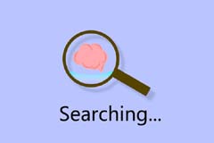 如何减少东莞做网站优化排名起伏-东莞飞天网站建设公司